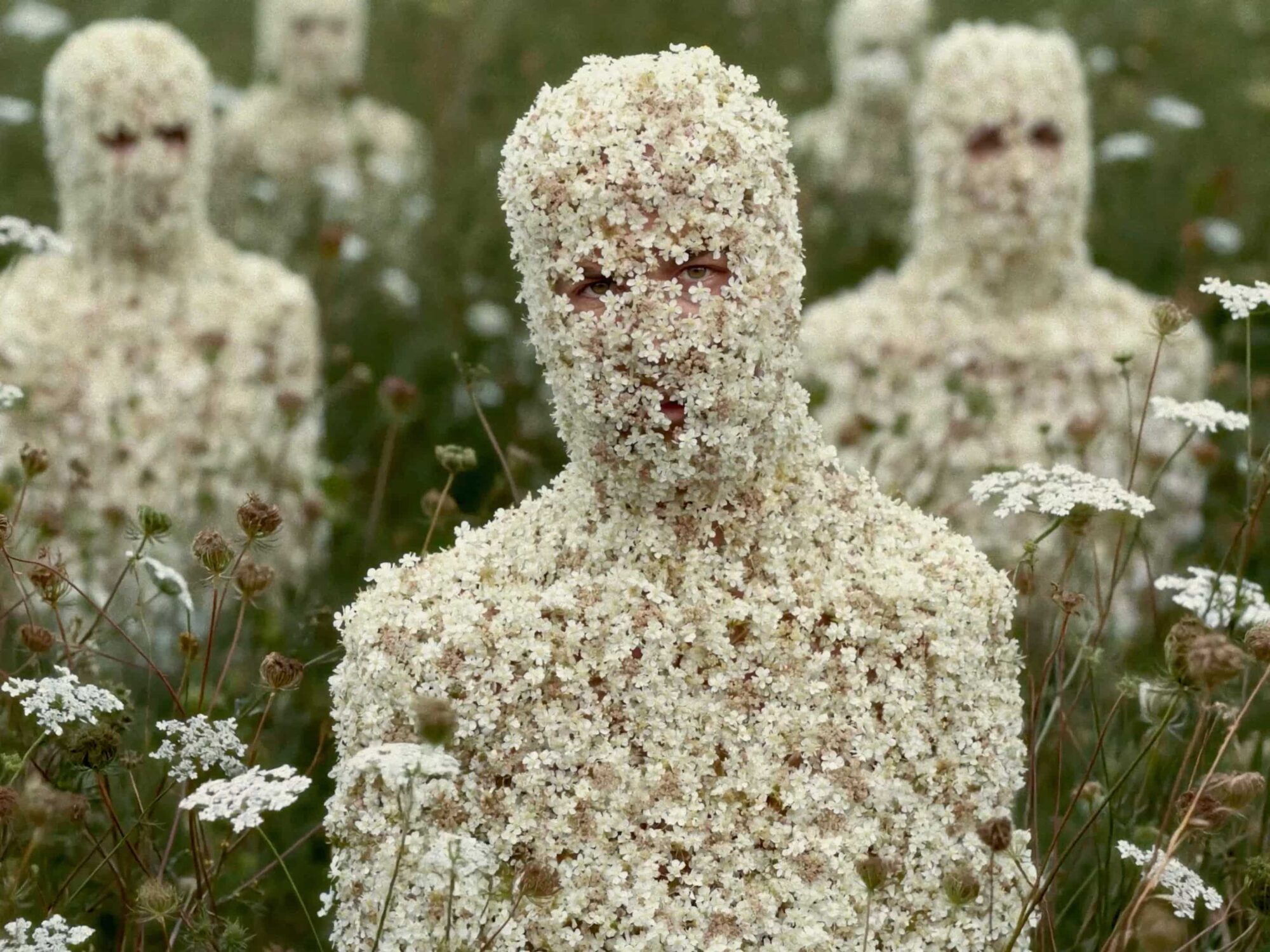 nordic-nature-tammes-bernstein